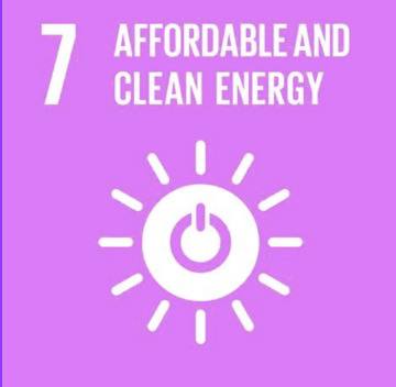 SDG 1