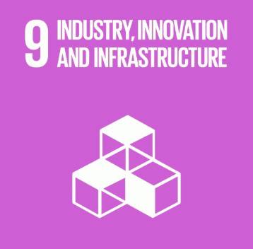 SDG 2