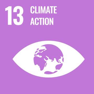 SDG 4
